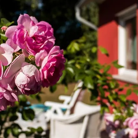 Meertraum * Ahrenshoop