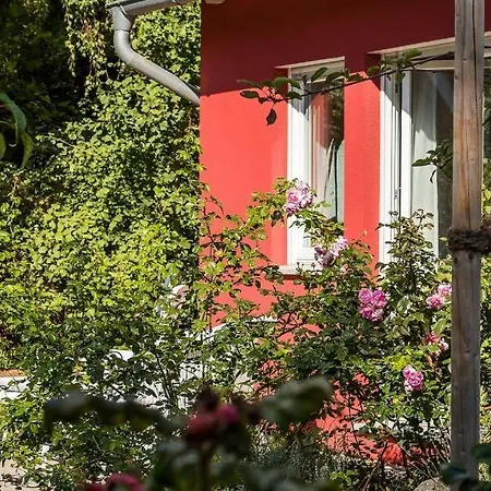 Dom wakacyjny Meertraum Ahrenshoop